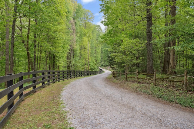 view of street with a view of trees