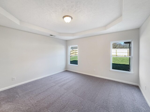 1036 Middleton Ln, Gallatin, TN 37066 - unfurnished room with a textured ceiling, baseboards, a tray ceiling, and carpet floors