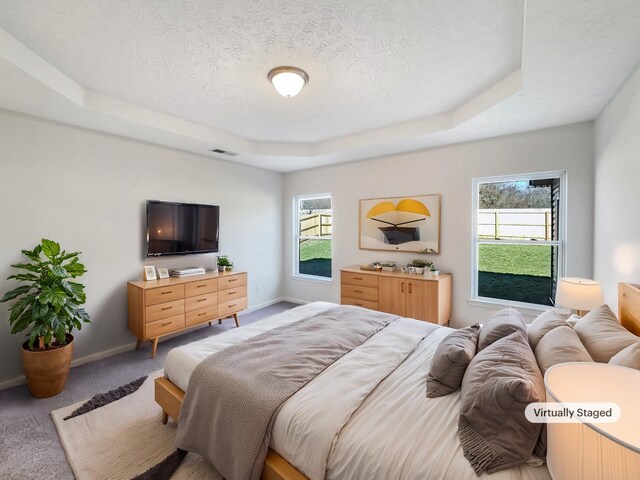 1036 Middleton Ln, Gallatin, TN 37066 - carpeted bedroom featuring a raised ceiling, visible vents, baseboards, and a textured ceiling