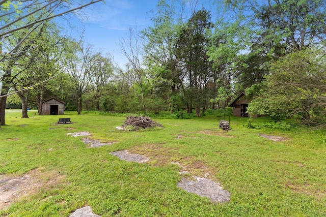 2436 J D Todd Rd, Murfreesboro, TN 37129 - view of yard with an outdoor structure