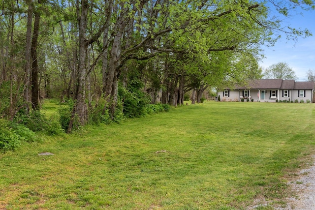 2436 J D Todd Rd, Murfreesboro, TN 37129 - view of yard