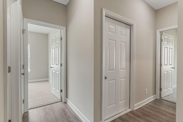 871 Blessings Way, Gallatin, TN 37066 - hall with baseboards and wood finished floors