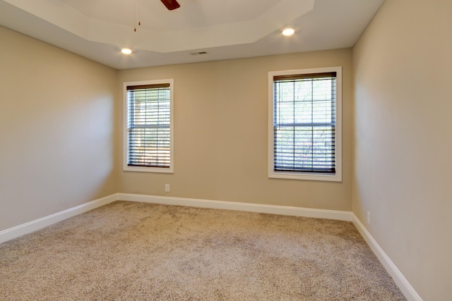 empty room featuring baseboards, a raised ceiling, carpet, and a healthy amount of sunlight