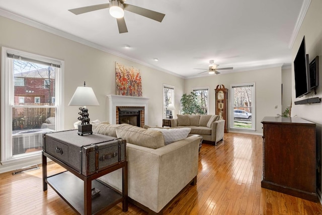 living room featuring ceiling fan, a fireplace, crown molding, and light wood finished floors