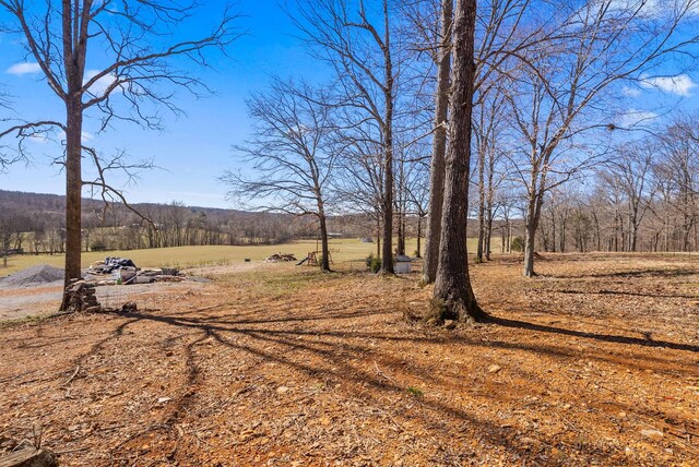 928 Red Bird Ln, Cumberland Furnace, TN 37051 - view of yard featuring a rural view and a forest view