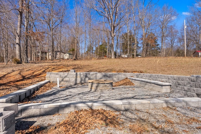 928 Red Bird Ln, Cumberland Furnace, TN 37051 - view of yard