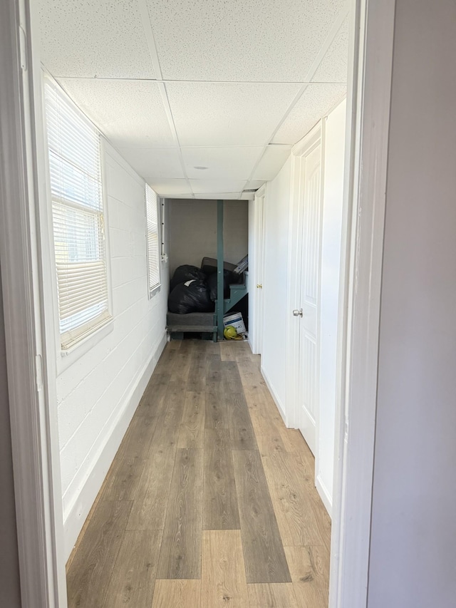 corridor with light wood-type flooring, a paneled ceiling, and concrete block wall