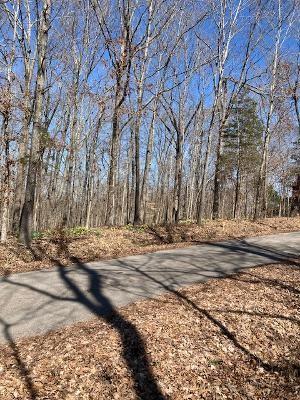 Listing photo 2 for 0 Harbor Dr, Bumpus Mills TN 37028