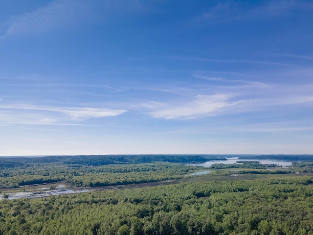 1668 Link Rd, New Johnsonville, TN 37134 - bird's eye view of a heavily wooded area and a large body of water