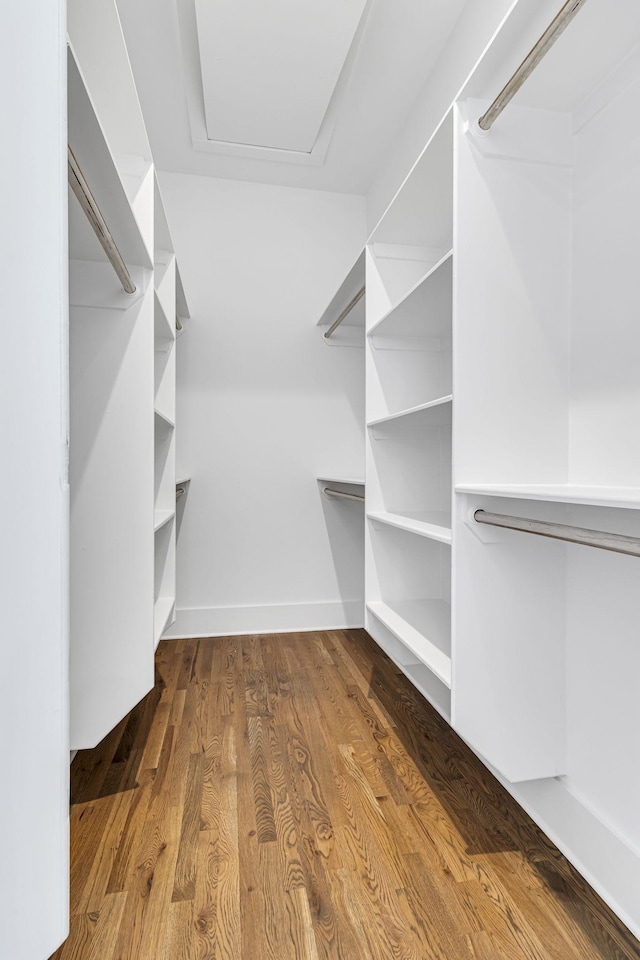 walk in closet featuring dark wood-type flooring and attic access