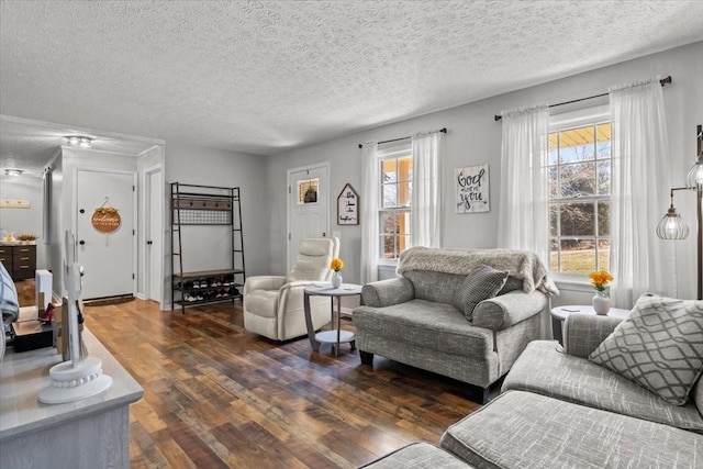 living area featuring wood finished floors and a textured ceiling