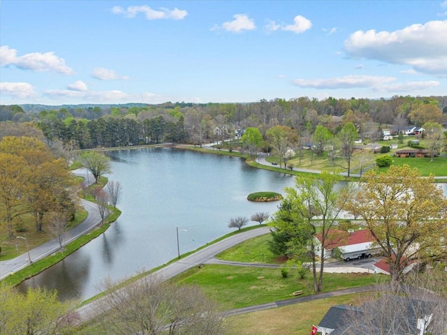 property view of water with a view of trees