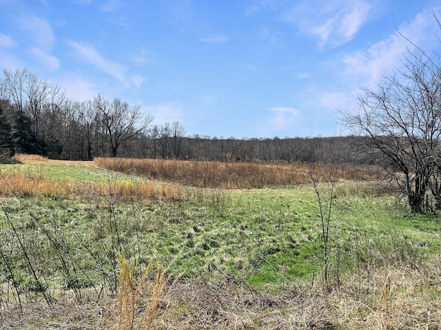 view of local wilderness with a rural view