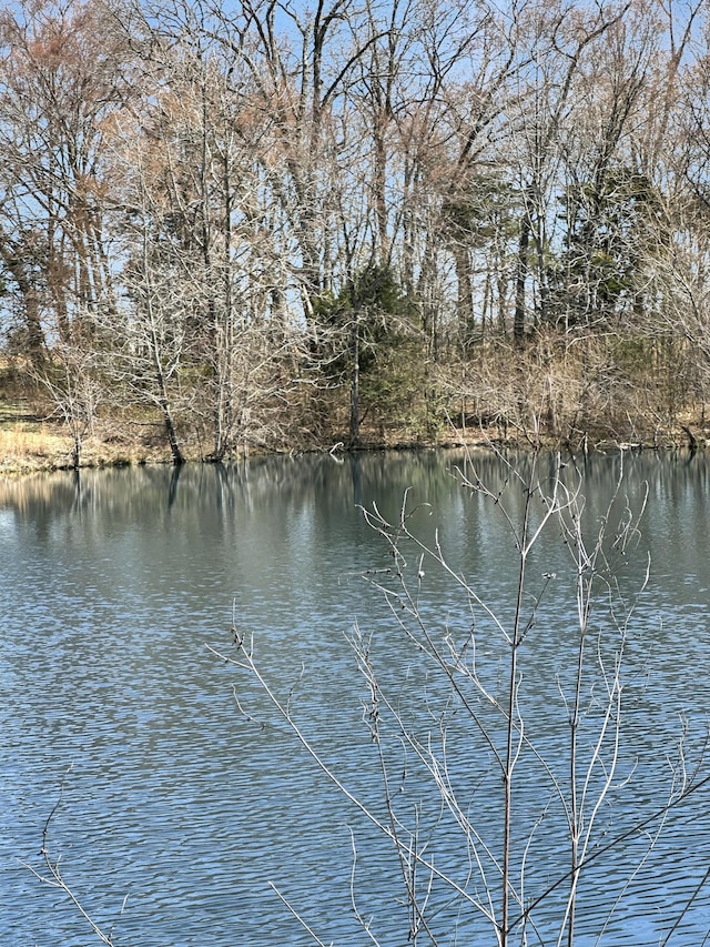 view of water feature