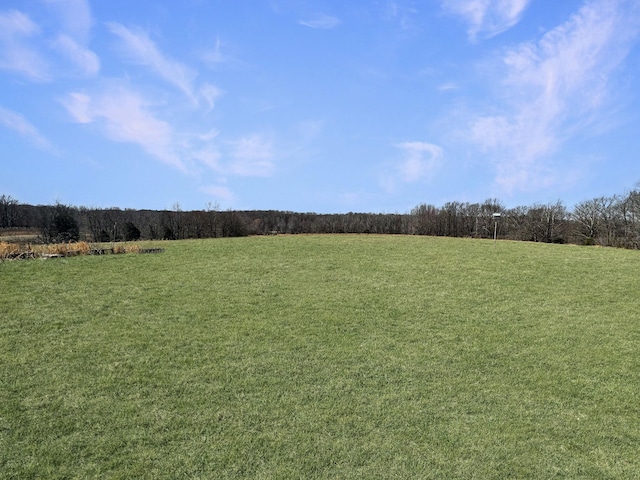 view of landscape featuring a forest view and a rural view