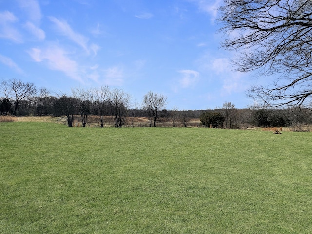 view of yard featuring a rural view