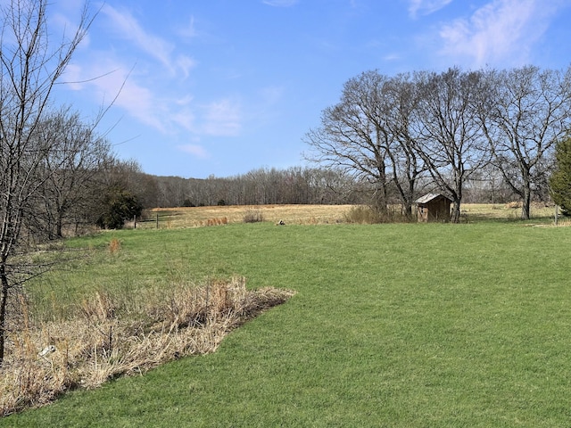 view of yard with a rural view