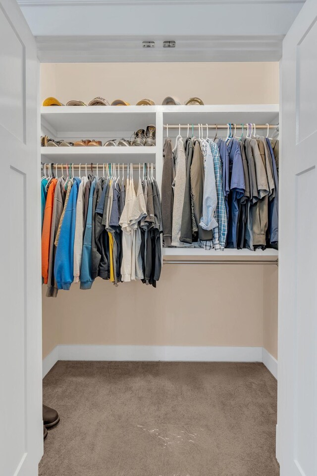 spacious closet with carpet floors