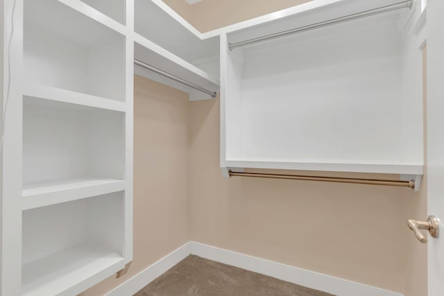 walk in closet featuring carpet flooring