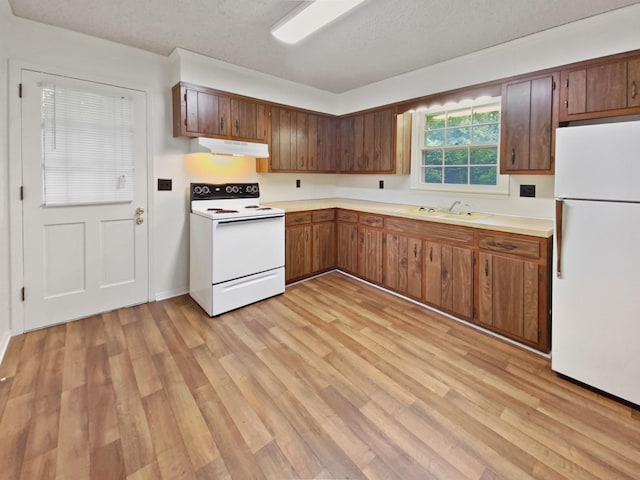 kitchen featuring white appliances, light countertops, under cabinet range hood, and a sink