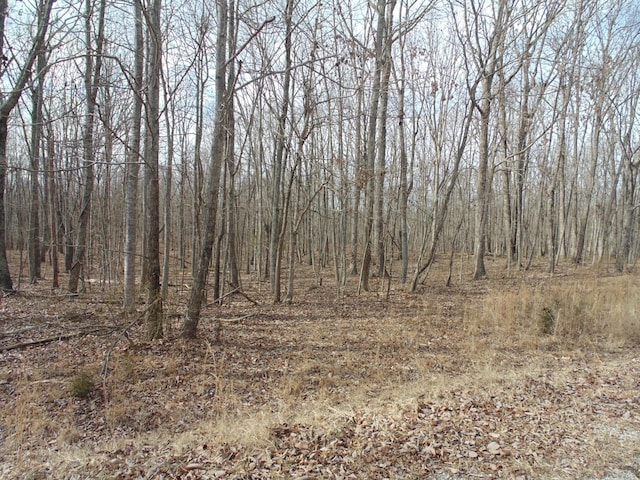 Listing photo 3 for 0 Nancy Wynn Rd, Sewanee TN 37375