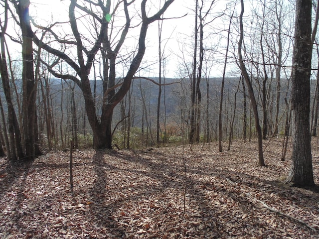 0 Nancy Wynn Rd, Sewanee TN, 37375 land for sale