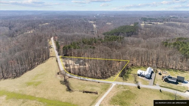 bird's eye view with a rural view and a view of trees