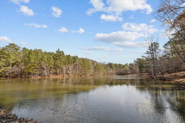 water view with a forest view