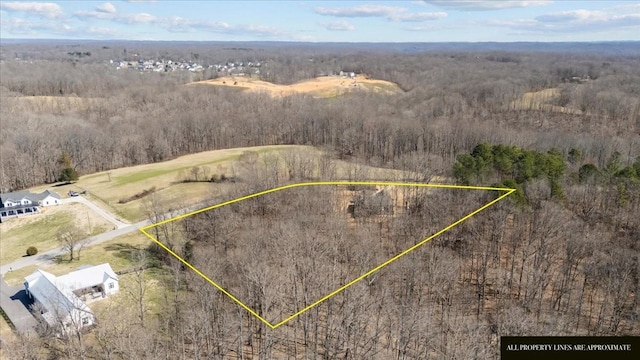 bird's eye view with a forest view and a rural view