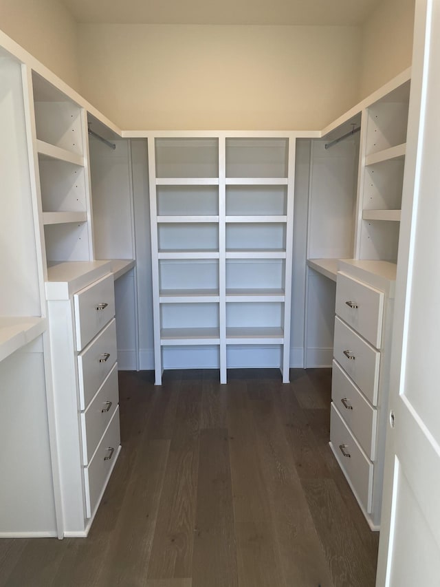 spacious closet with dark wood-type flooring