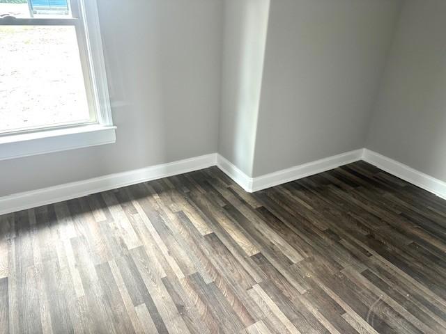 8369 State Line Rd, Taft, TN 38488 - photo 18
