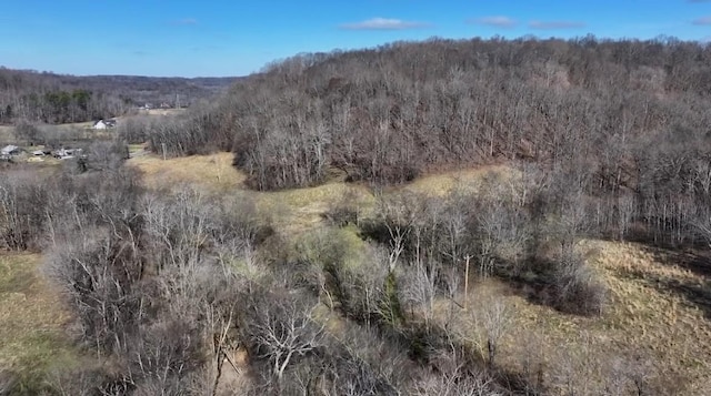 1 Enterprise Rd, Mount Pleasant TN, 38474 land for sale