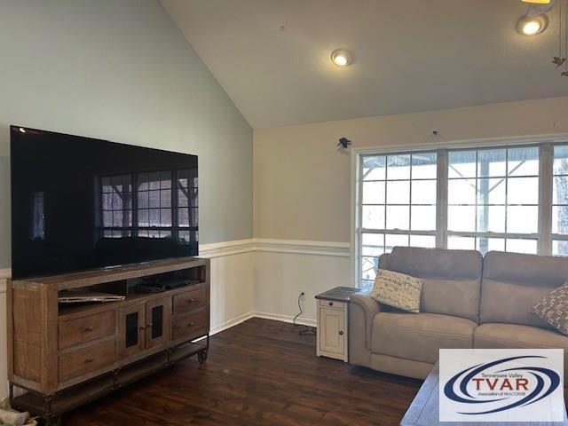 living room with lofted ceiling and dark wood-type flooring