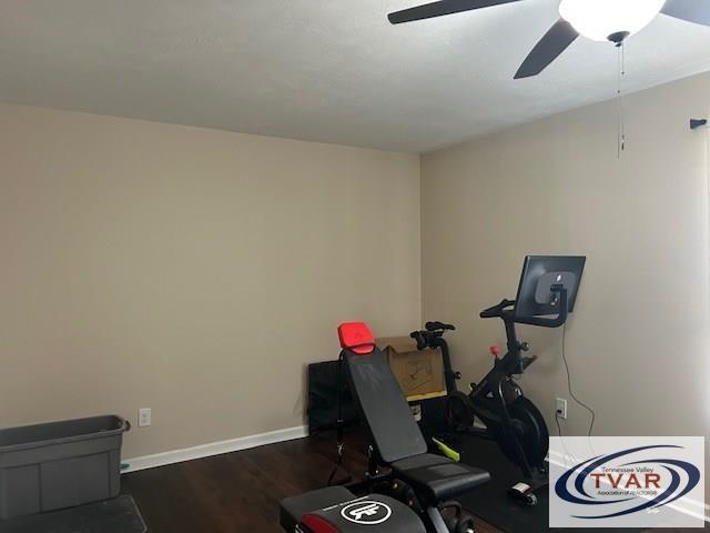 workout room with wood finished floors, baseboards, and ceiling fan