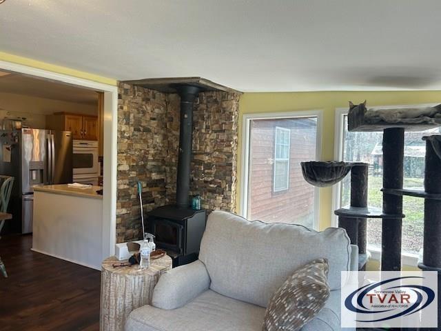 living area with dark wood-style floors and a wood stove