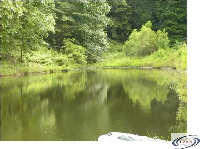 view of water feature with a forest view