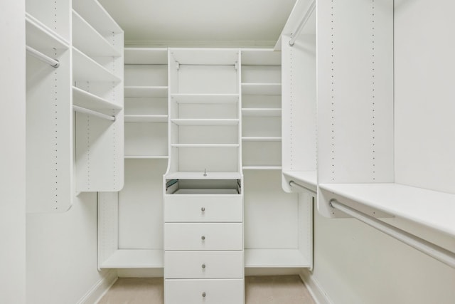 view of spacious closet