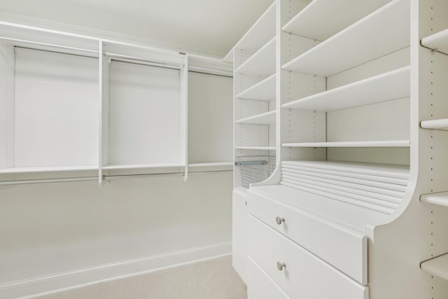 view of spacious closet