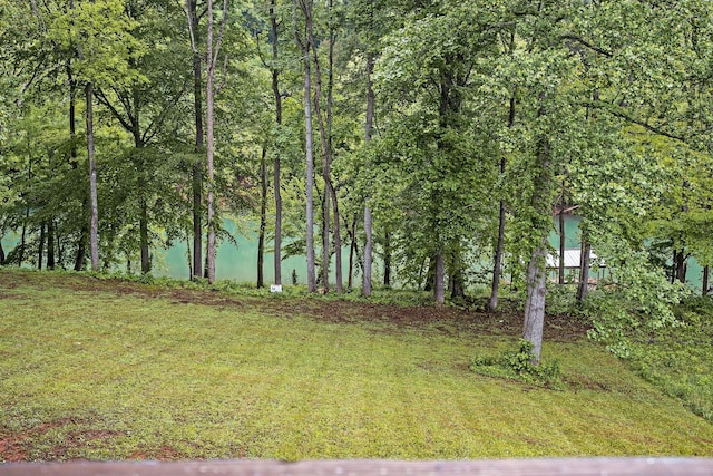 1036 Hidden River Rd, Rock Island, TN 38581 - view of green lawn