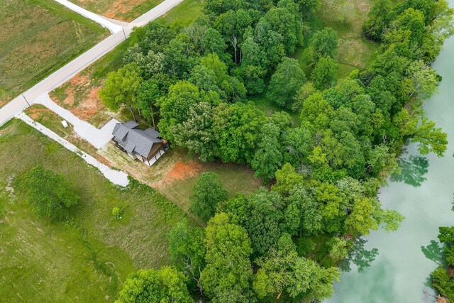 1036 Hidden River Rd, Rock Island, TN 38581 - drone / aerial view