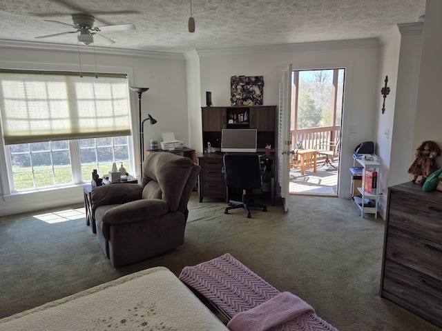 living area featuring plenty of natural light, a textured ceiling, and carpet flooring