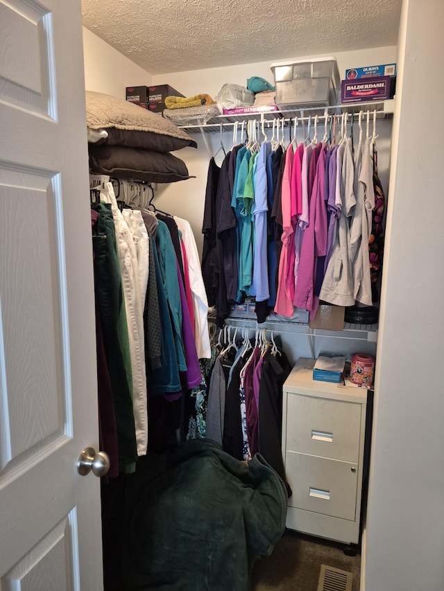 spacious closet with visible vents