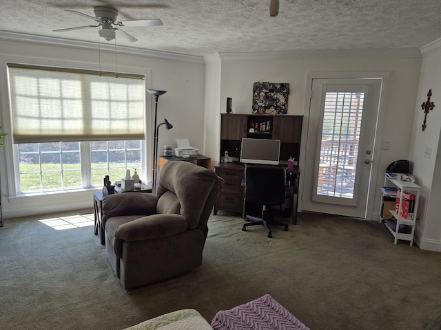 living room with a textured ceiling, carpet flooring, and ornamental molding