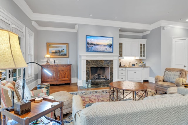 living area featuring crown molding, light wood-type flooring, baseboards, and a premium fireplace