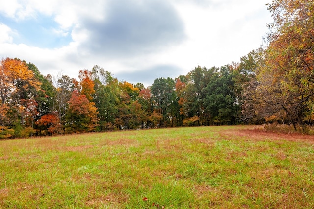 view of yard with a view of trees