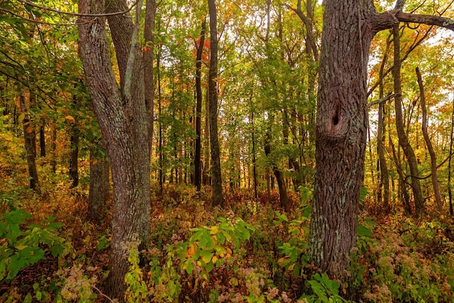 view of landscape featuring a wooded view