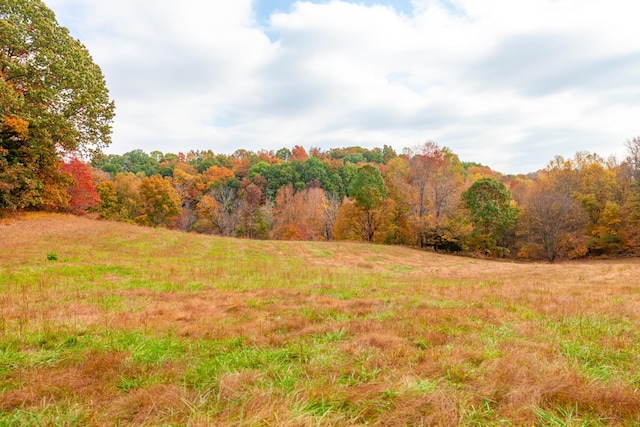 view of yard with a forest view