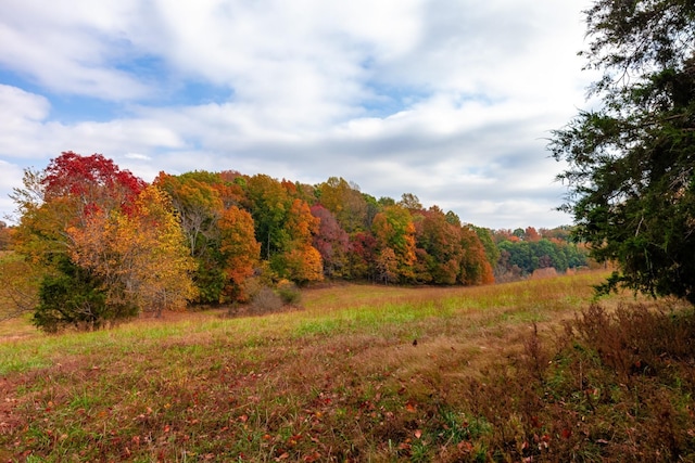 view of landscape featuring a forest view