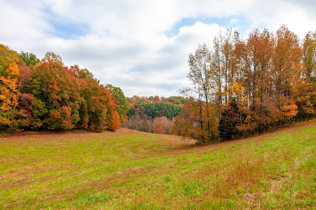 view of yard featuring a wooded view