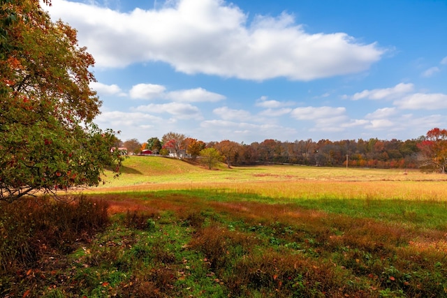 view of nature featuring a rural view